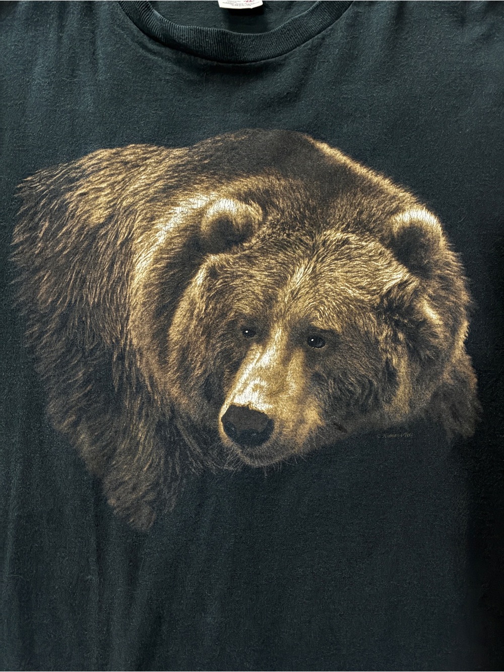 Vintage Human-i-Tees Grizzly Bear T-Shirt - Picture 3 of 7